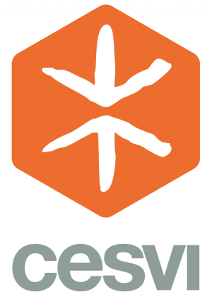 Cesvi